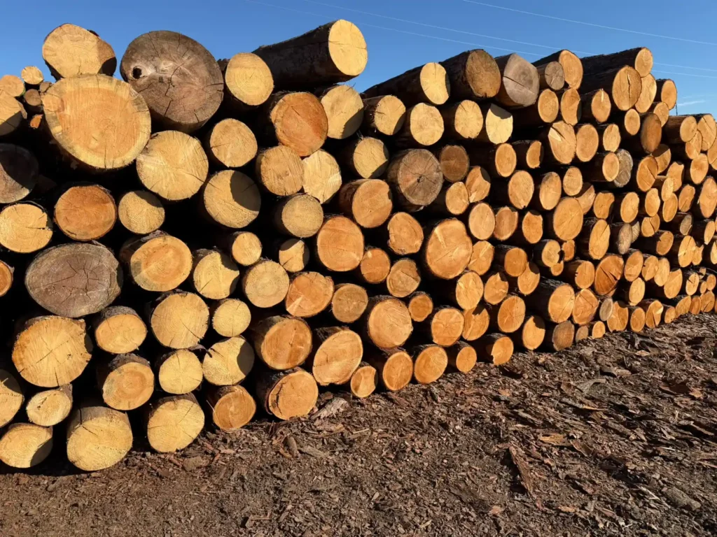 SOSNA – drewno paletowe, długość 2,5 m – SPRZEDAM