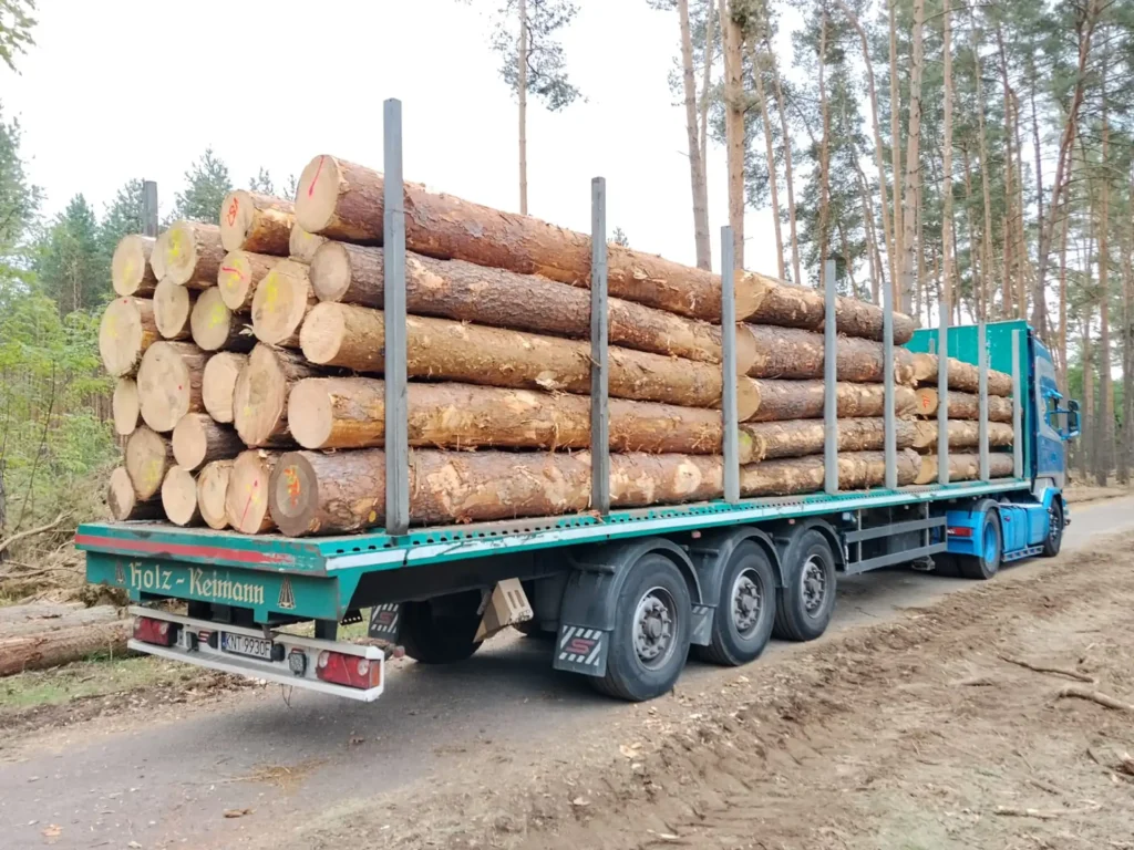 SOSNA – kłody tartaczne, długość 4 m – SPRZEDAM