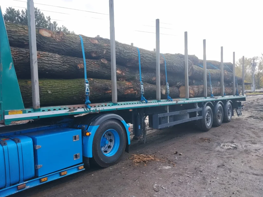 DĄB – drewno tartaczne, długość 2,5-10 m – SPRZEDAM