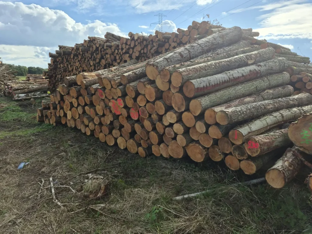 Ochla – Kłoda 3.0m