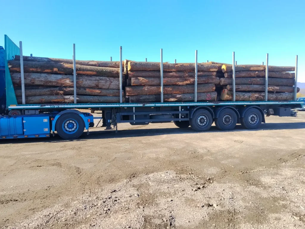 DĄB – kłody tartaczne, długość 4 m – SPRZEDAM